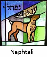 Naphtali copy1.jpg